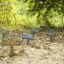 Monkey cemetery in Boabeng Fiema Monkey Sanctuary